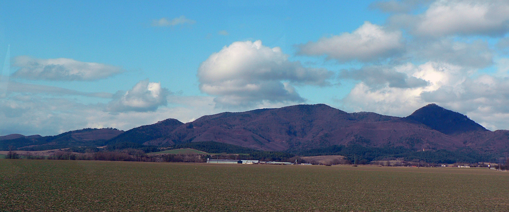 okruh-cez-zniev-prve-jarne-lesne-behanie