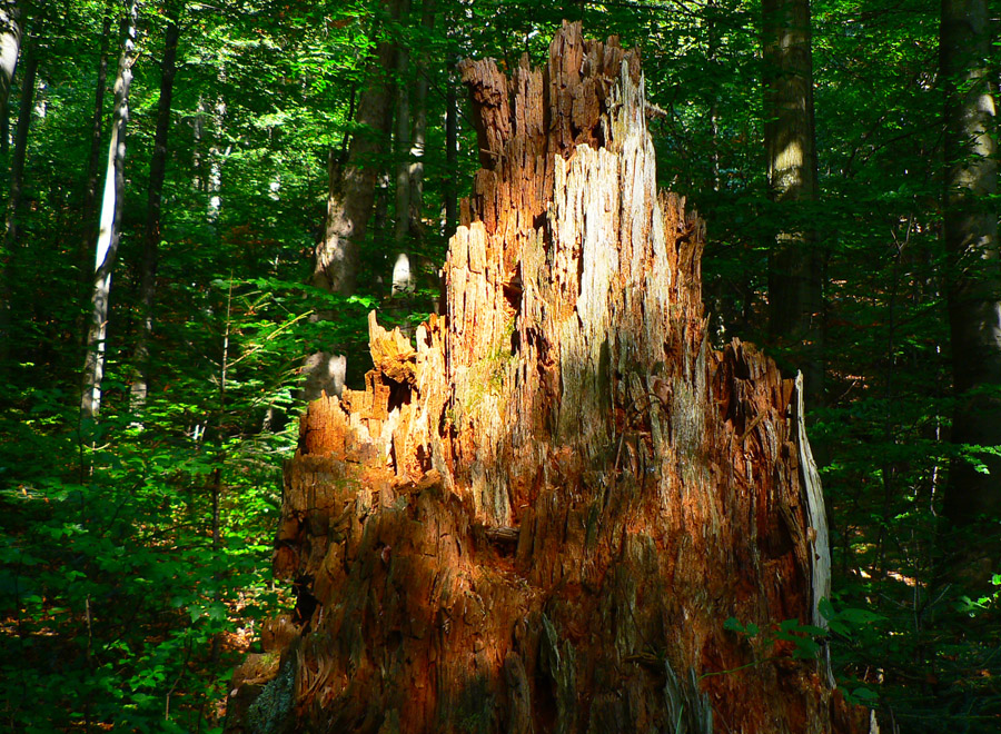 poloniny-1-stuzica-a-kremenec