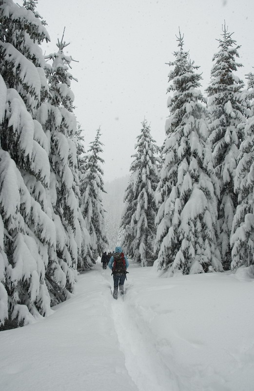 zaciatok-zimy-na-cervenci