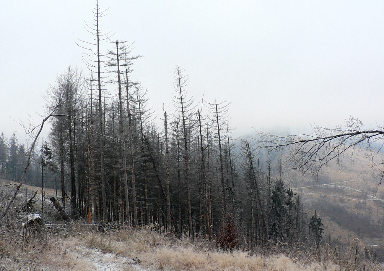 zilina-–-turzovka-sedivo-na-modrej