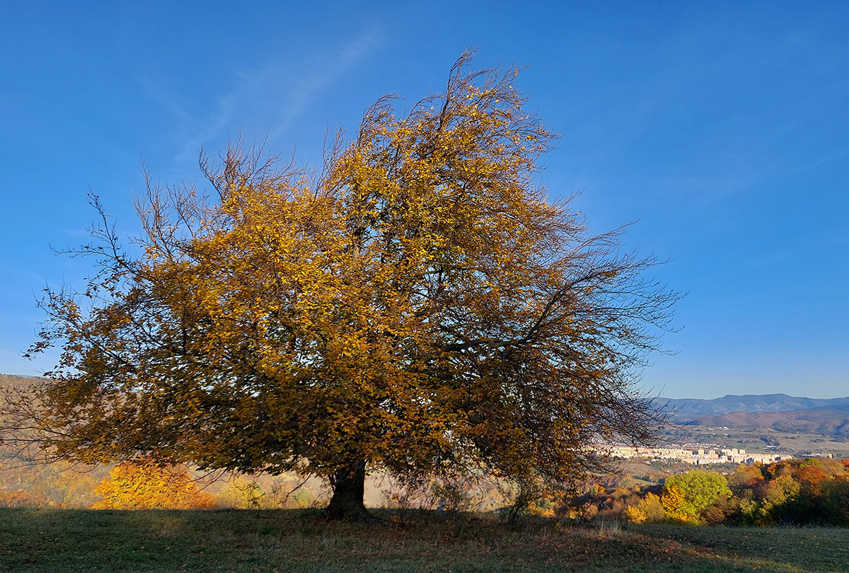 turcek-tunel-–-bystrica-improvizacne-a-plnofarebne