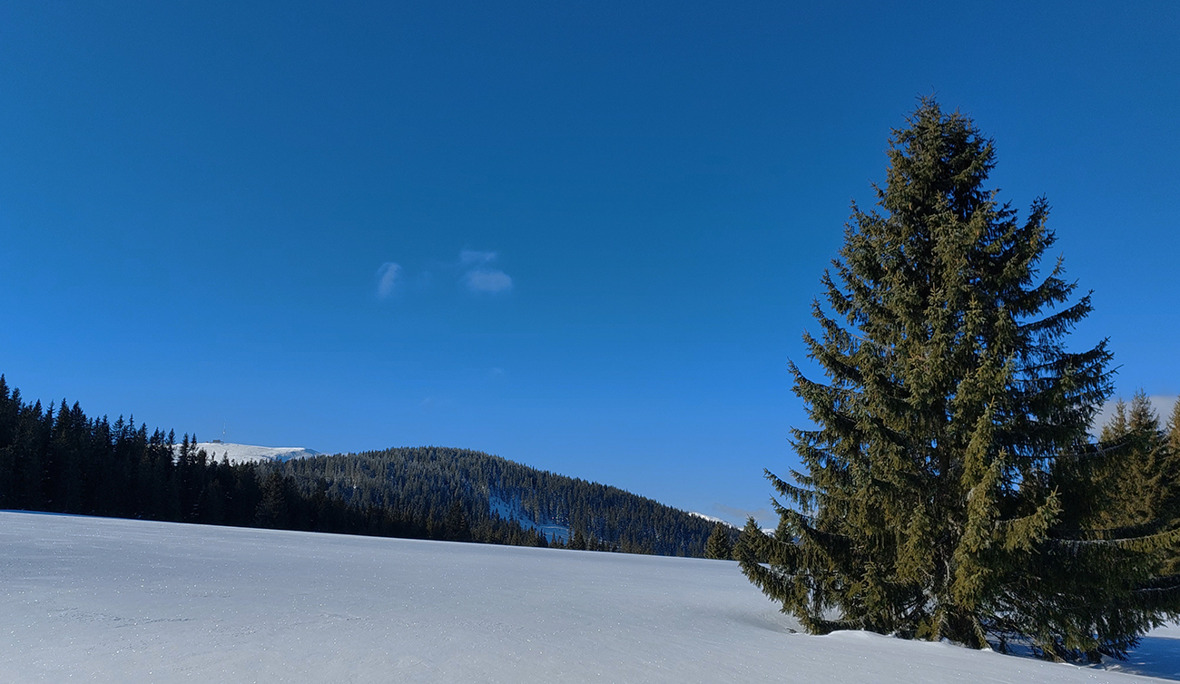 Na_lúkach_pred_Smrečinským_sedlom,_vpredu_vykukuje_Kráľova_hoľa.