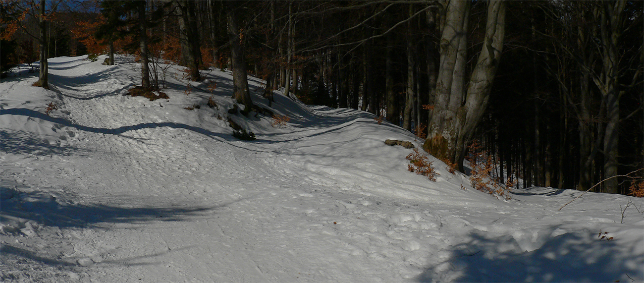 Rovinky a tiene (vľavo) suché, strmšie a viac do slnka otočené kašan. Rovinky_a_tiene_(vľavo)_suché,_strmšie_a_viac_do_slnka_otočené_kašan.