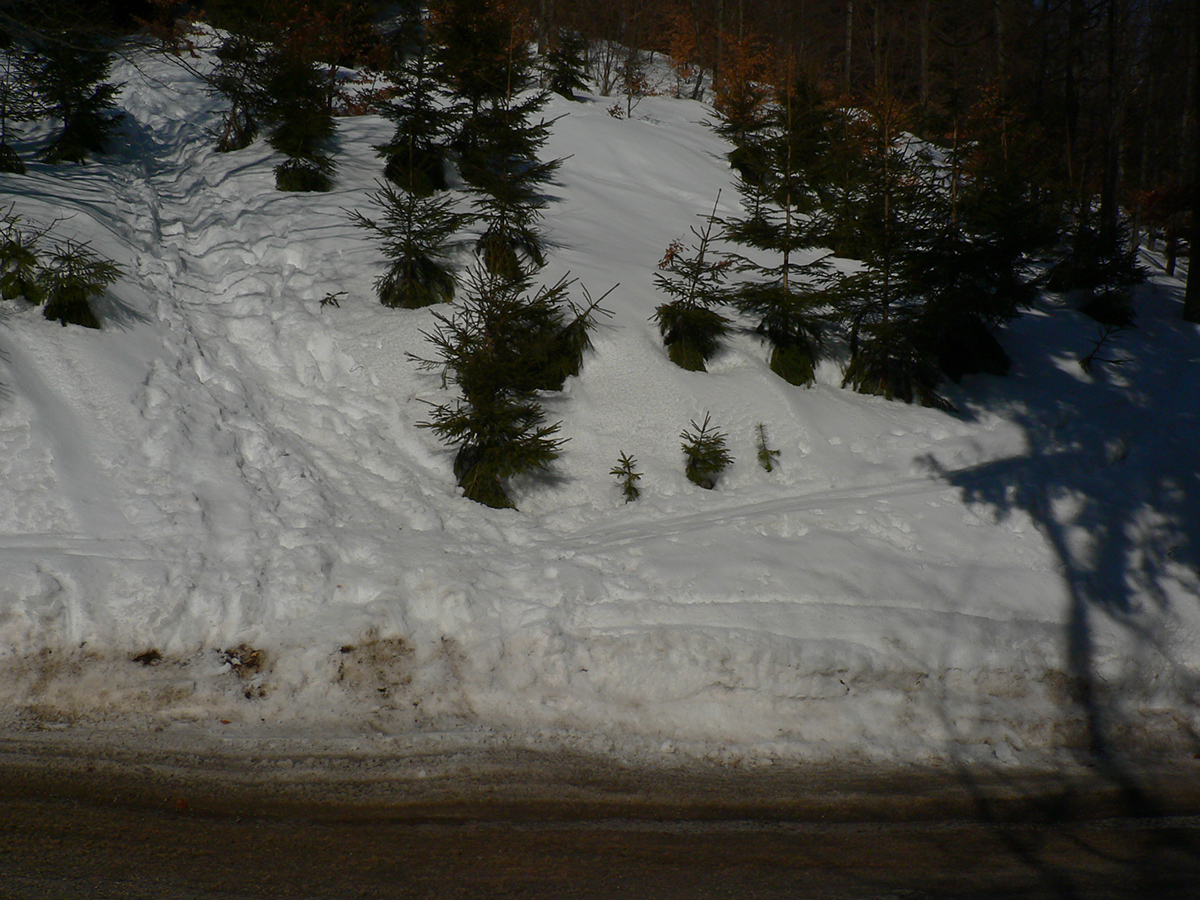 Lepšie je preskočiť cez cestu do stôp: rovno hore pešia, doprava lyžia. Obe tvrdé. Lepšie_je_preskočiť_cez_cestu_do_stôp:_rovno_hore_pešia,_doprava_lyžia._Obe_tvrdé.