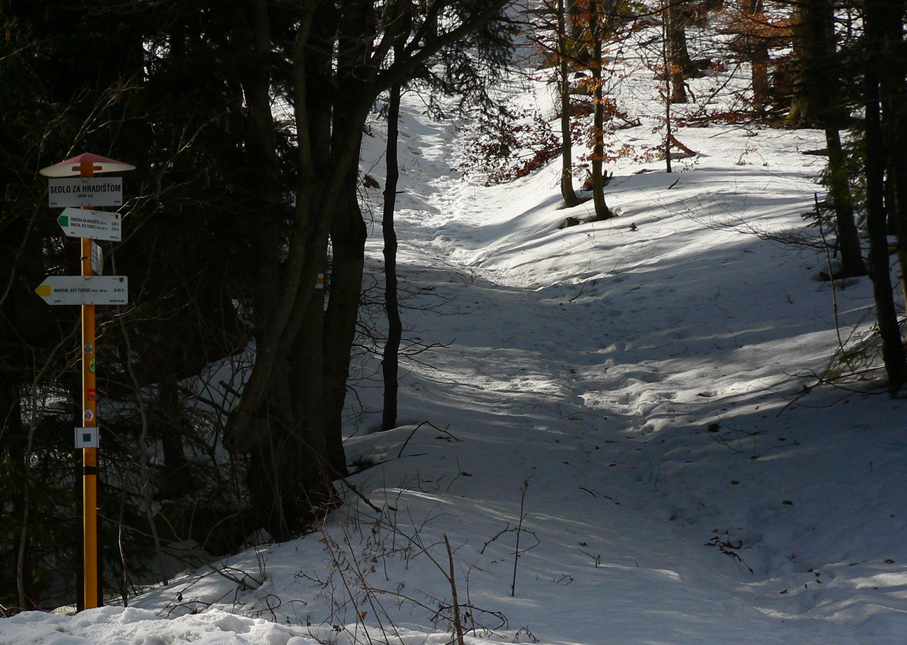 Zo sedla pod Hradišťom na pásoch nešiel už dlhšie nik, treba hneď ísť viac doprava, mimo značky. Zo_sedla_pod_Hradišťom_na_pásoch_nešiel_už_dlhšie_nik,_treba_hneď_ísť_viac_doprava,_mimo_značky.