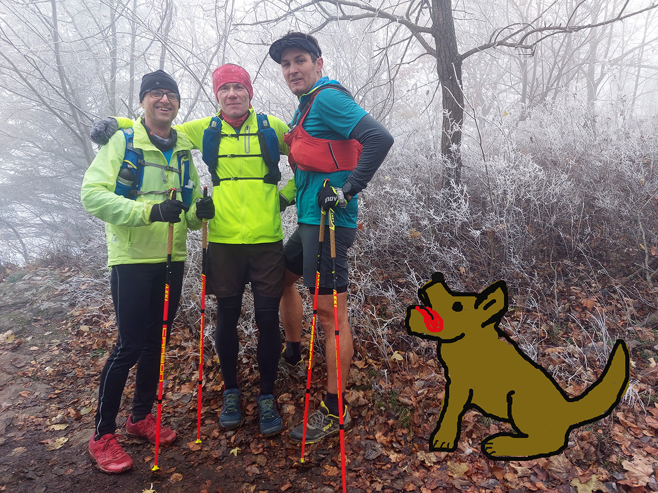 traja-ultrasi-a-huspeninovy-pes-pod-sitnom