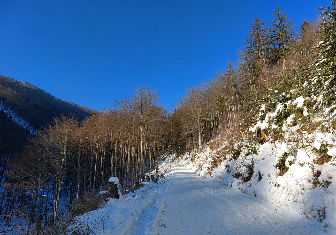 Cesta_pod_zákrutou_sa_tvári_chrumkavo...