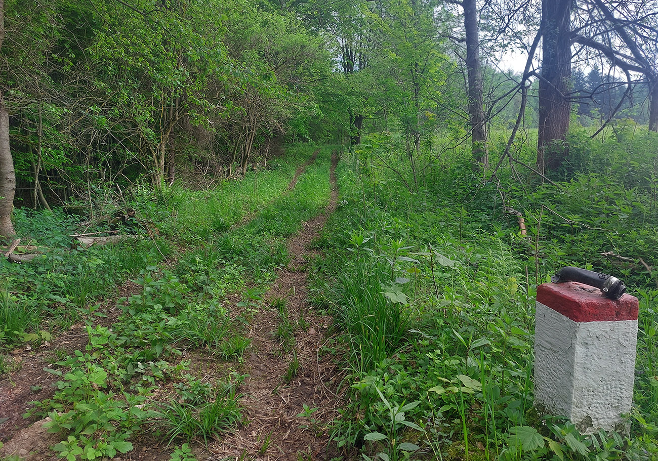 ...aby_som_sa_pri_prvých_hraničných_kameňoch_ponoril_do_lesa.