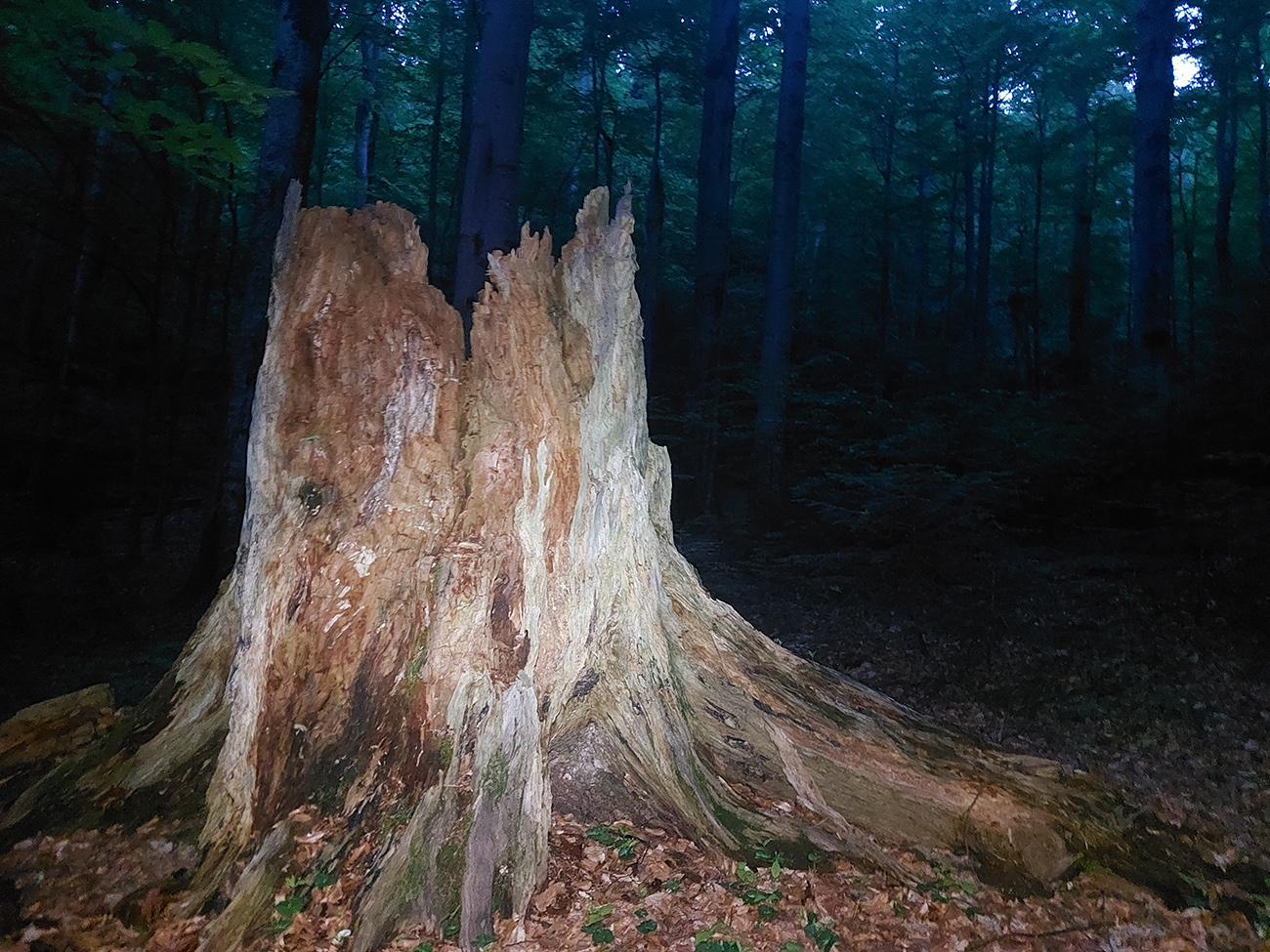 Stužickú_sochársku_galériu_už_si_užívam_len_s_bleskom_a_čelovkou.