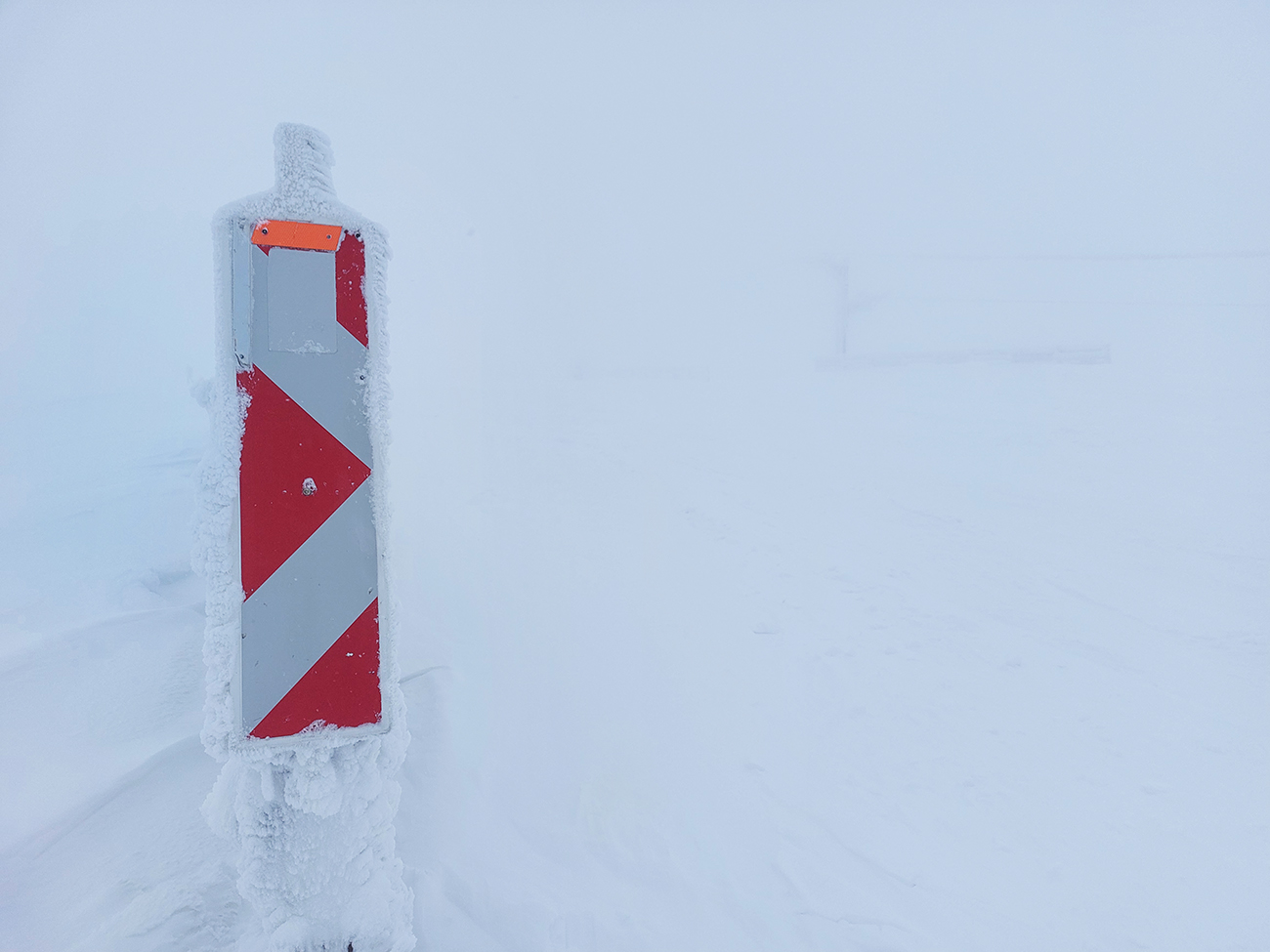 chlpato-aktualne-z-martinskych-holi