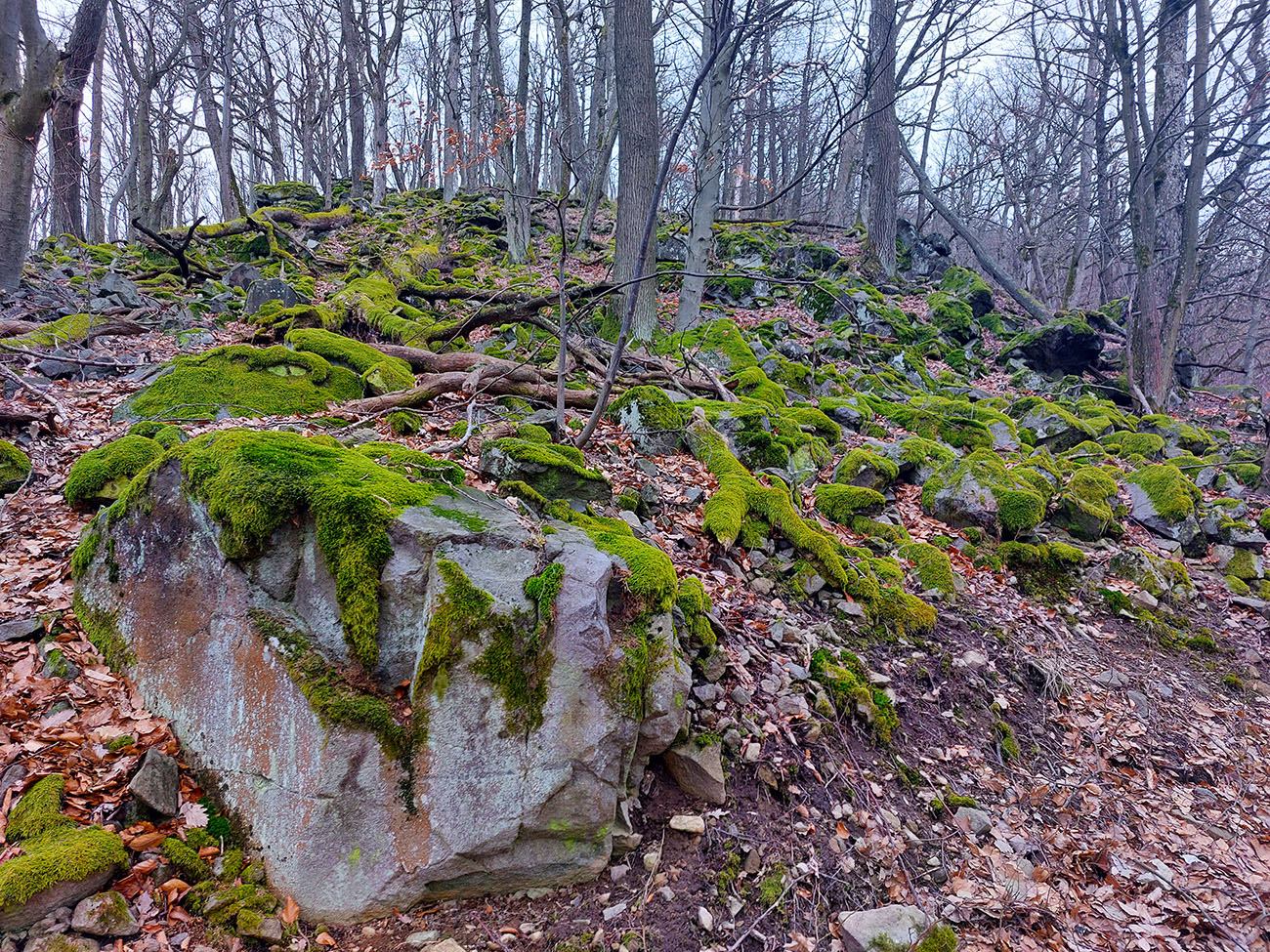 po-blate-okolo-mociara