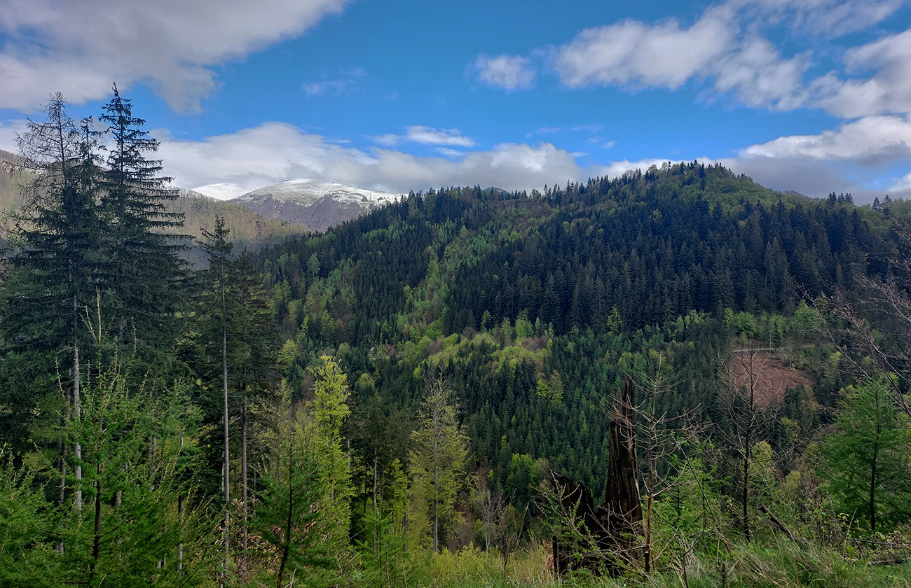 Na_tomto_úseku_len_ojedinelé_výhľady,_napríklad_tento_na_Krížnu.