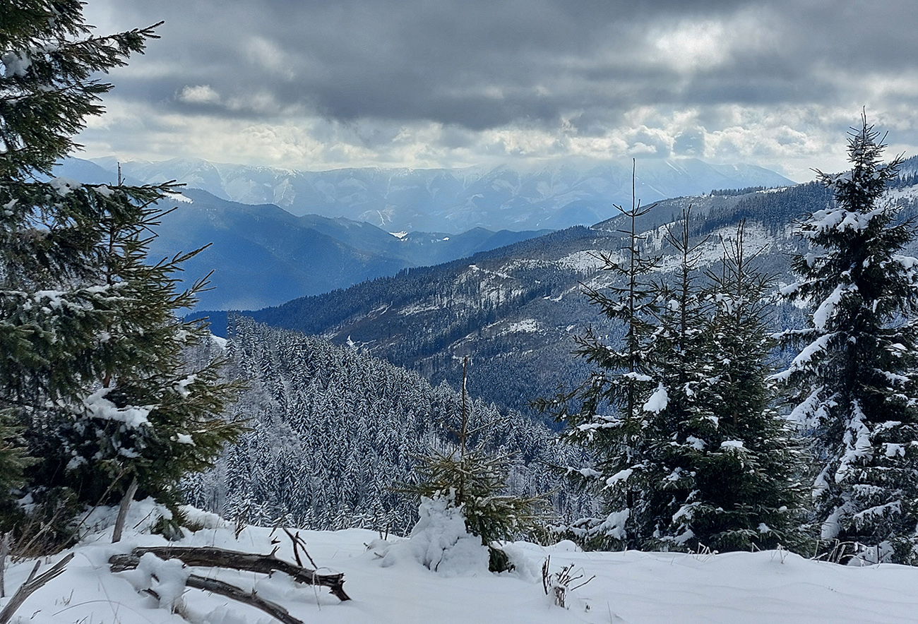 Vpravo_v_diaľke_sivé,_nezasnežené_rúbane_Nízkych_Tatier.