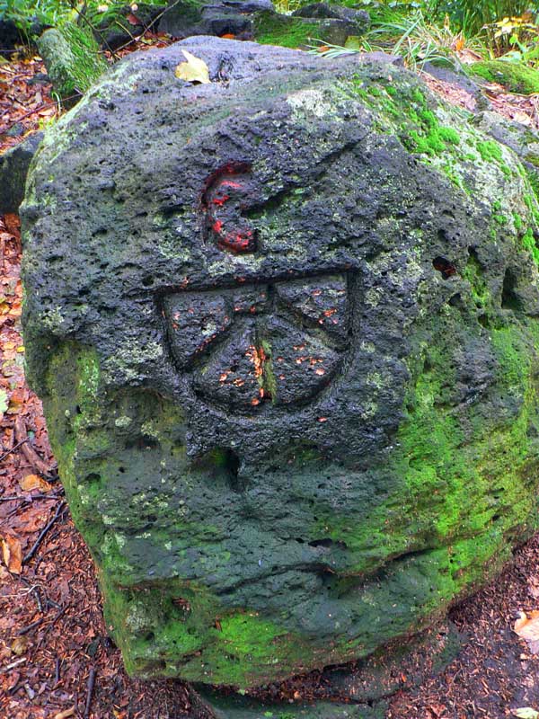 kordicka-brazda-zo-vsetkych-stran