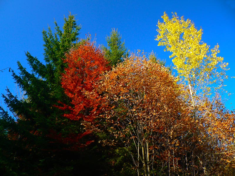 babie-leto-v-kremnickych-vrchoch